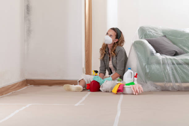 Reliable Mold Remediation contractor in Celina, TX by Mold Remediation HQ